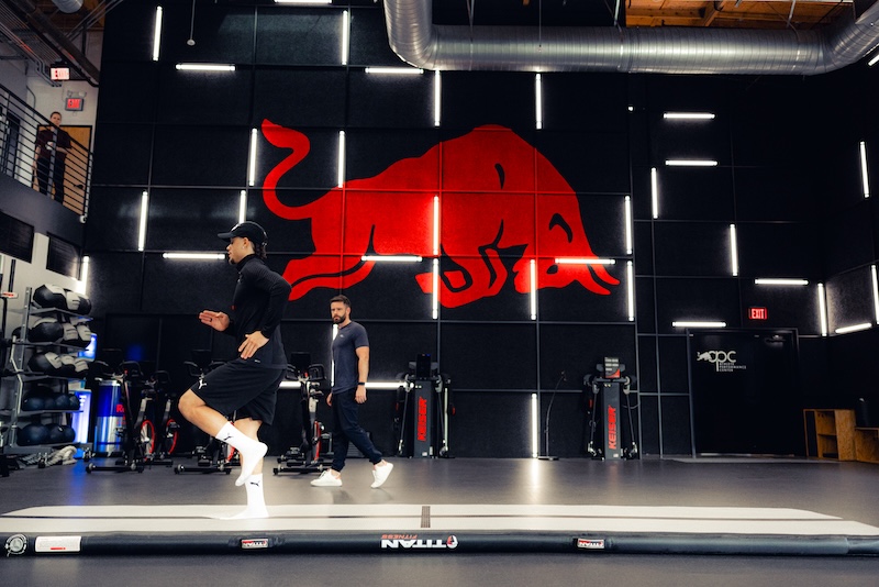 RobinRedBull